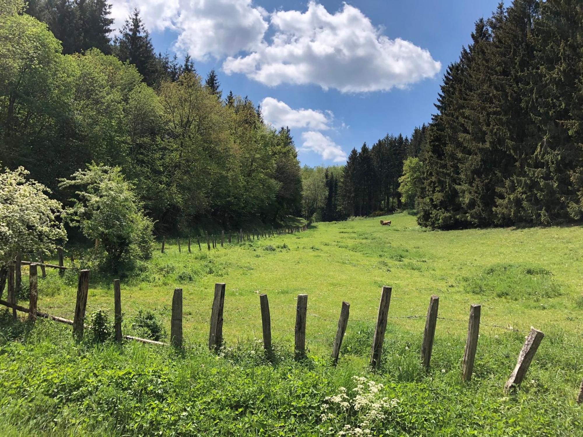 Esch  Holzhaus Onkel Fritz Mit Sauna Und Whirlwanne מראה חיצוני תמונה